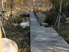 -上海浦江郊野公园-2号停车场