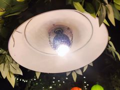 -广州花园酒店荔湾亭·地道点心·粤式饮茶
