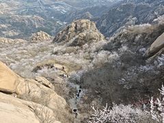 -北京凤凰岭