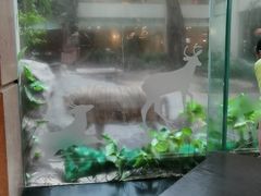 -白虎自助餐厅·真老虎·景观自助餐厅(广州长隆酒店)