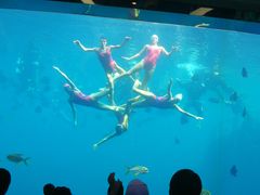 -瑞德姆美人鱼海底演艺主题餐厅(亚龙湾店)