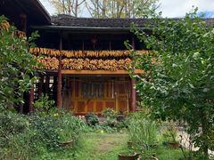 -腾冲国萍农家乐