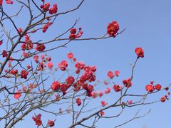 -无锡梅园公园
