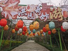 -西溪国家湿地公园