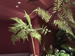 -芸山季·云南野生菌火锅(宝能环球汇店)