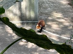 -昆明动物园
