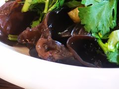 -古代饭堂(冠亚店)