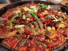 -老板恋上鱼(恒隆广场店)