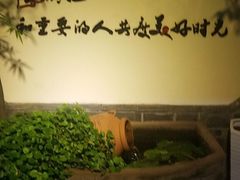 -慢丽江·云南野生菌土鸡锅(付家庄店)