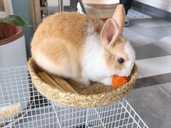 -三个椰子·现砍椰子鸡(金源CBD店)