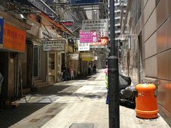 -珍妮曲奇聪明小熊(上环店)