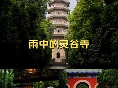 -灵谷景区