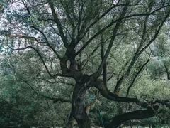 -宗角禄康公园