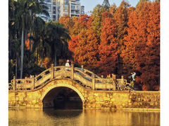-中国科学院华南植物园