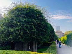 -四川大学(华西校区)