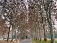 -河南省黄河迎宾馆