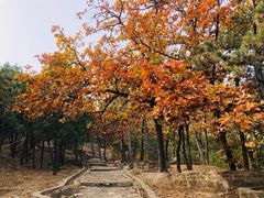 -北京鹫峰国家森林公园