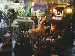 -懒鱼时光馆(沙坪坝店)