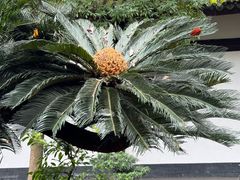 -成都杜甫草堂博物馆
