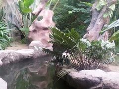 -北海·海洋之窗
