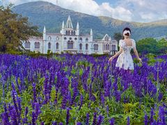 -玫瑰海岸文化旅游度假区