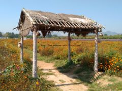 -北京东方普罗旺斯薰衣草庄园