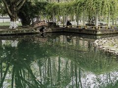-温江公园
