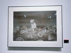 -南京书画院金陵美术馆