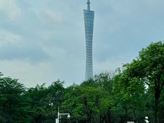 -小西家作•精致蛋糕(富力爱丁堡店)