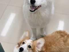 -汪说·狗咖(旺城大厦店)