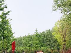 -东郊湿地公园