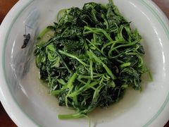 -小小饭店·休闲农庄·安吉松树林里的农家菜