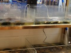 -十八字金银饰·拼豆·开蚌手工体验团建(君太百货店)