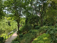 -云溪植物园