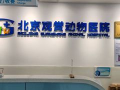 -北京观赏动物医院·24小时大型综合·猫专科·异宠专科