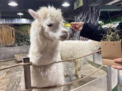 -上海大自然野生昆虫馆