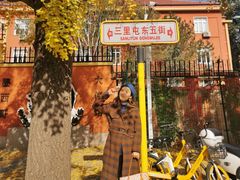 -三里屯东五街银杏大道