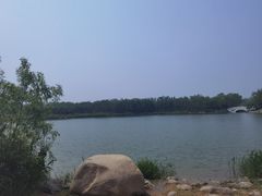 -大兴滨河森林公园