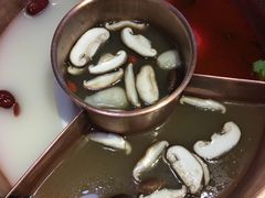 -老诚一锅羊蝎子(黄寺大街店)