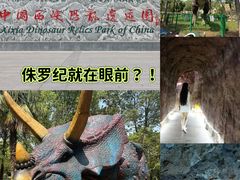 -中国西峡恐龙遗迹园