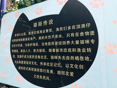 -猫咪博物馆(顶澳仔猫街店)