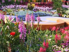 -海心沙亚运公园