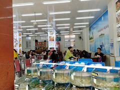 水产区-烁佳海鲜大馅饺子