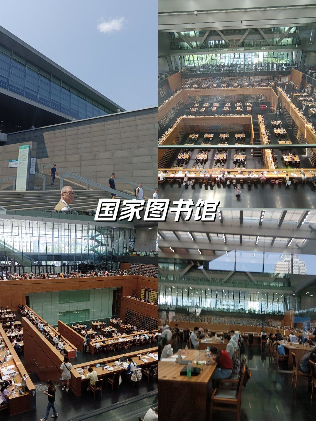 图书馆攻略#图书室国图埋头自习的人啊.去晚了都找不到座位.