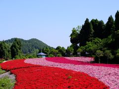 -中国香山·寿香谷