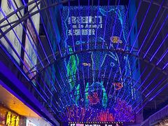 -鑫阿强海鲜大排档·老厦门特色菜(中山路店)
