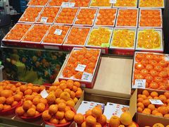 -西归浦每天偶来市场