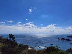 -枸杞岛