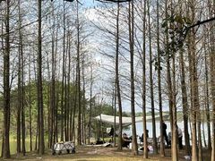 -松山湖风景区松湖烟雨