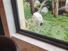 -熊猫自助餐厅.萌趣城堡(长隆熊猫酒店)